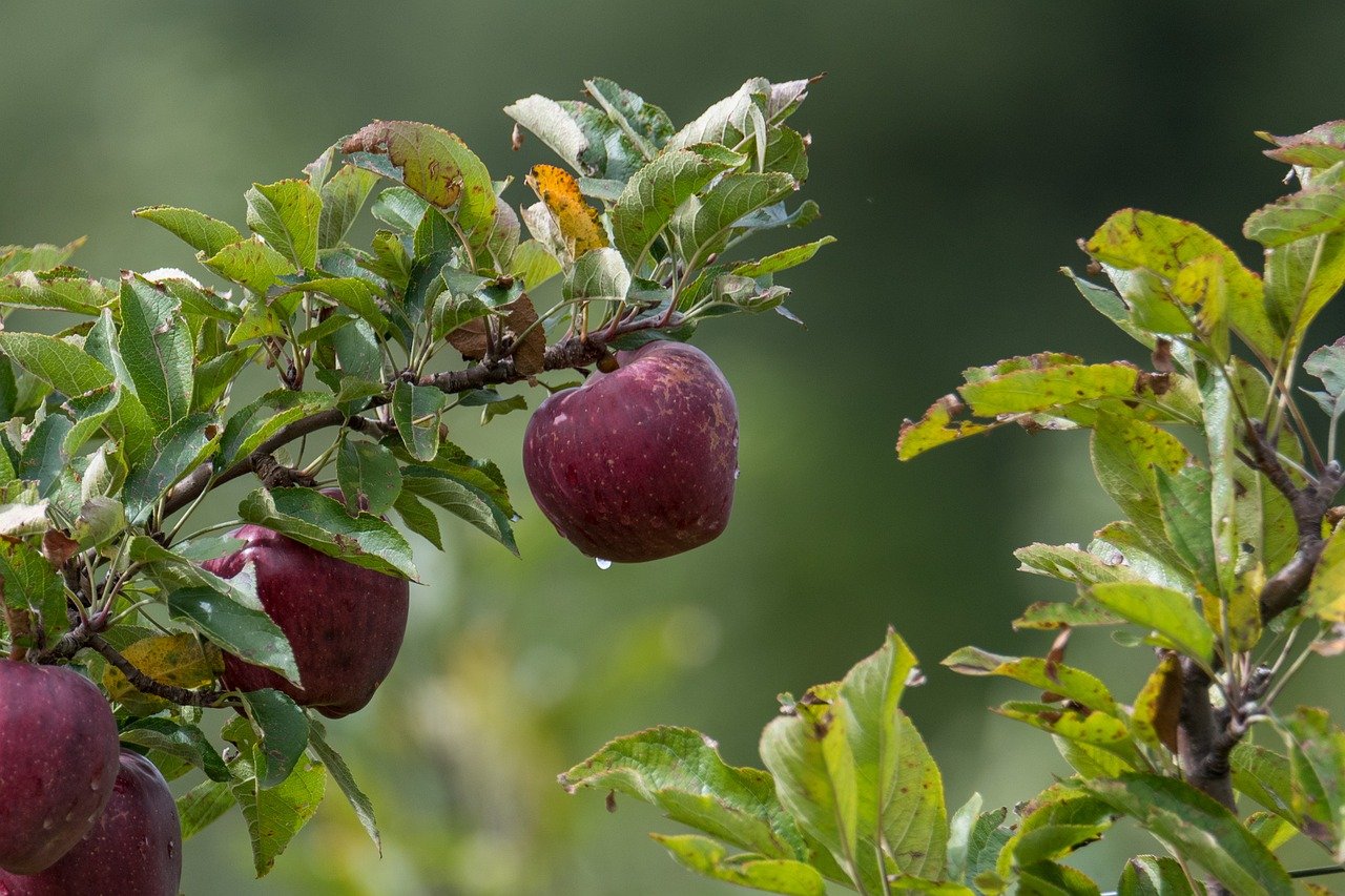 Nature vs Nurture - The Interplay of Biology and Philosophy